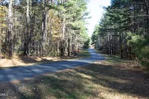 730 Sinai Cir, Hillsborough, NC 27278 - Photo 37