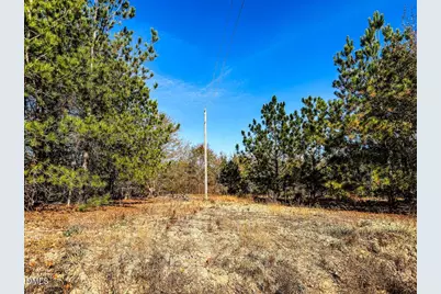 0000 Jesse Smith Road, Laurel Hill, NC 28351 - Photo 7
