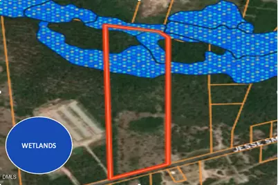 0000 Jesse Smith Road, Laurel Hill, NC 28351 - Photo 51