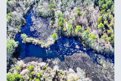 0000 Jesse Smith Road, Laurel Hill, NC 28351 - Photo 33