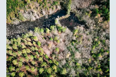 0000 Jesse Smith Road, Laurel Hill, NC 28351 - Photo 41