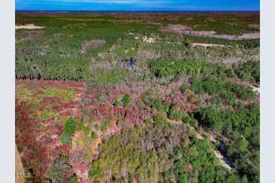 0000 Jesse Smith Road, Laurel Hill, NC 28351 - Photo 11