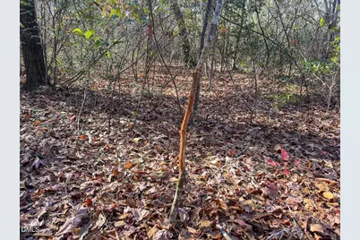 0000 Jesse Smith Road, Laurel Hill, NC 28351 - Photo 35