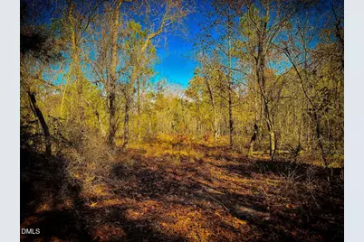 0000 Jesse Smith Road, Laurel Hill, NC 28351 - Photo 47