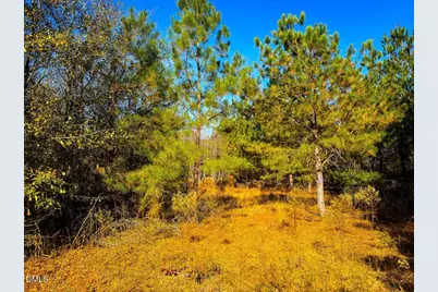 0000 Jesse Smith Road, Laurel Hill, NC 28351 - Photo 19