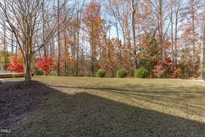 3156 Curling Creek Drive, Apex, NC 27502 - Photo 67