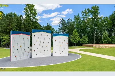 2529 Lillian Woods Way, Wendell, NC 27591 - Photo 11