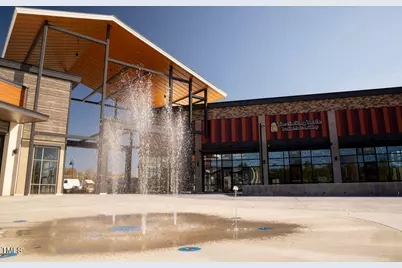 2529 Lillian Woods Way, Wendell, NC 27591 - Photo 17