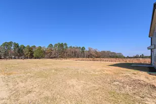 221 Boston River Dr, Dunn, NC 28334 - Photo 31