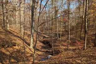 4501 Foreys Ct, Graham, NC 27253 - Photo 37