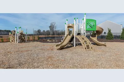 201 Holton Street, Wilsons Mills, NC 27577 - Photo 27