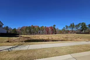 305 Addison Pond Dr, Holly Springs, NC 27540 - Photo 63