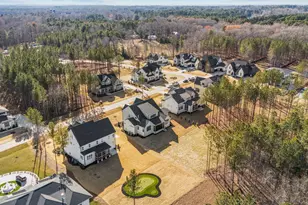 35 Chestnut Oak Dr, Youngsville, NC 27596 - Photo 45