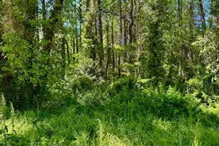 00 Young Ave, Henderson, NC 27536 - Photo 1