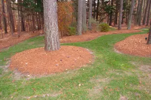 804 East E Street, Butner, NC 27509 - Photo 47