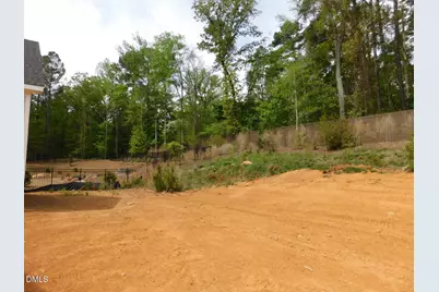 142 Autumn Gate Street, Pittsboro, NC 27312 - Photo 69