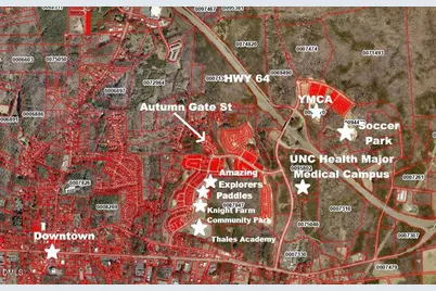 142 Autumn Gate Street, Pittsboro, NC 27312 - Photo 57