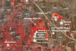 142 Autumn Gate St, Pittsboro, NC 27312 - Photo 57