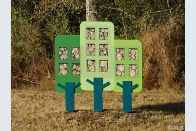 142 Autumn Gate Street, Pittsboro, NC 27312 - Photo 59