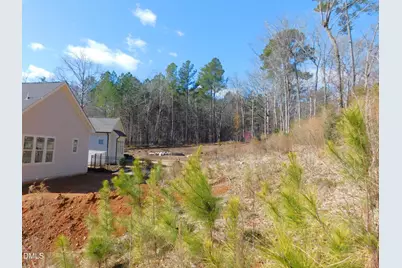 142 Autumn Gate Street, Pittsboro, NC 27312 - Photo 45