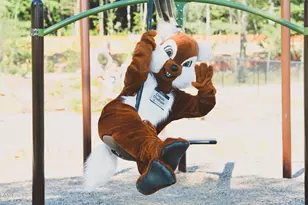 142 Autumn Gate St, Pittsboro, NC 27312 - Photo 77