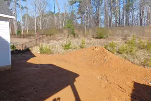 142 Autumn Gate St, Pittsboro, NC 27312 - Photo 39