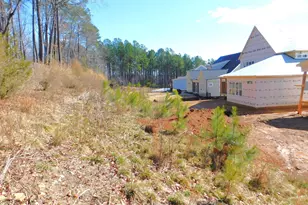 142 Autumn Gate St, Pittsboro, NC 27312 - Photo 61