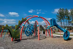 142 Autumn Gate St, Pittsboro, NC 27312 - Photo 61