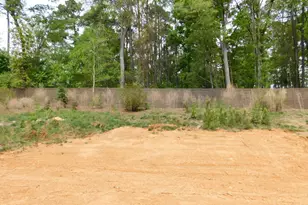 142 Autumn Gate St, Pittsboro, NC 27312 - Photo 59