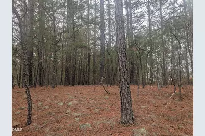 13 Saw Grass Road, Eagle Springs, NC 27242 - Photo 1