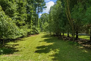 2073 N Pea Ridge Rd, Pittsboro, NC 27312 - Photo 49