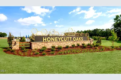 148 Honeydew Drive, Angier, NC 27501 - Photo 29