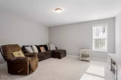 55 Purple Mist Lane, Zebulon, NC 27597 - Photo 27