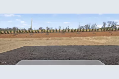 180 Honeydew Drive, Angier, NC 27501 - Photo 35