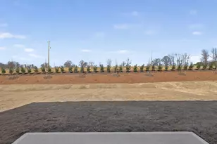 180 Honeydew Dr, Angier, NC 27501 - Photo 35