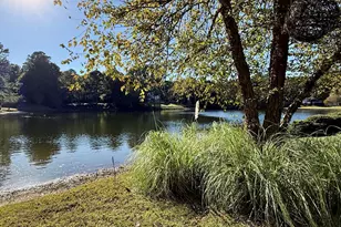 512 Tharps Ln, Raleigh, NC 27614 - Photo 5