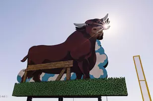 1101 Camden Ave, Durham, NC 27701 - Photo 21