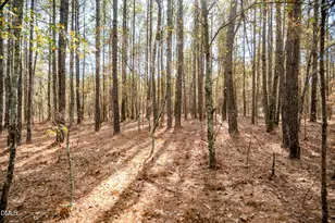 5131 Ponderosa Rd, Sanford, NC 27332 - Photo 29