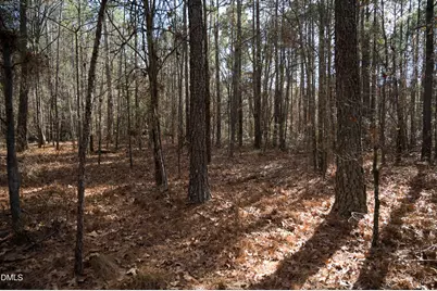 5131 Ponderosa Road, Sanford, NC 27332 - Photo 47