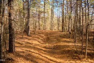 5131 Ponderosa Rd, Sanford, NC 27332 - Photo 31