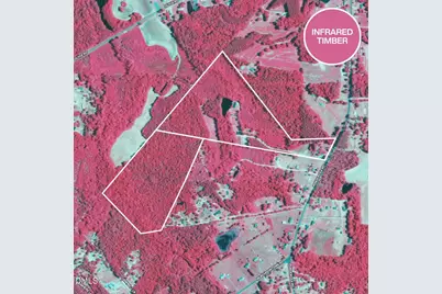 5131 Ponderosa Road, Sanford, NC 27332 - Photo 49