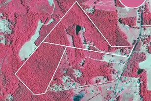 5131 Ponderosa Rd, Sanford, NC 27332 - Photo 49