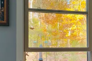 6202 Montgomery Ests Rd, Hillsborough, NC 27278 - Photo 27