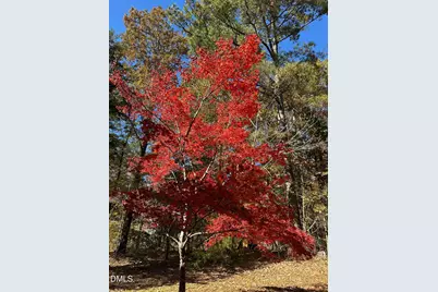 6202 Montgomery Estates Road, Hillsborough, NC 27278 - Photo 73