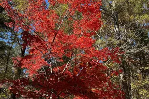 6202 Montgomery Ests Rd, Hillsborough, NC 27278 - Photo 73