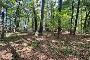 204 Meadow Dr, Cary, NC 27511 - Photo 5