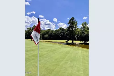 127 Prairie Dog Drive, Louisburg, NC 27549 - Photo 3