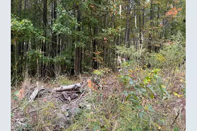 525 Montgomery Road, Franklinton, NC 27525 - Photo 13