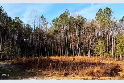 335 Little Lady Trail, Zebulon, NC 27597 - Photo 1