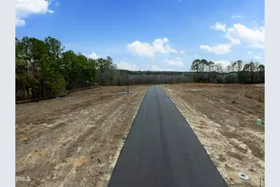 28 Sea Stellars Court, Benson, NC 27504 - Photo 5